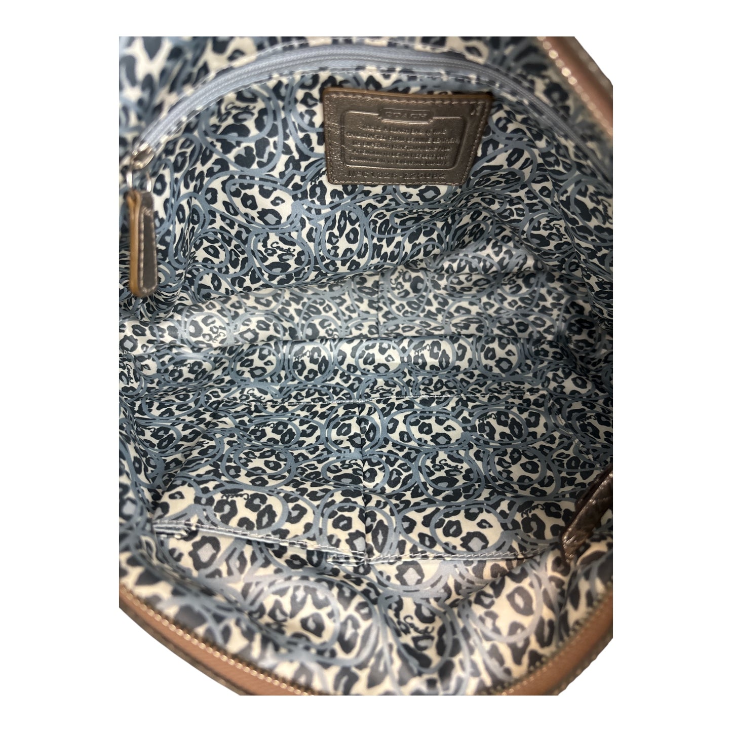 Penelope Metallic Pebbled Leather Buckle Hobo Bag