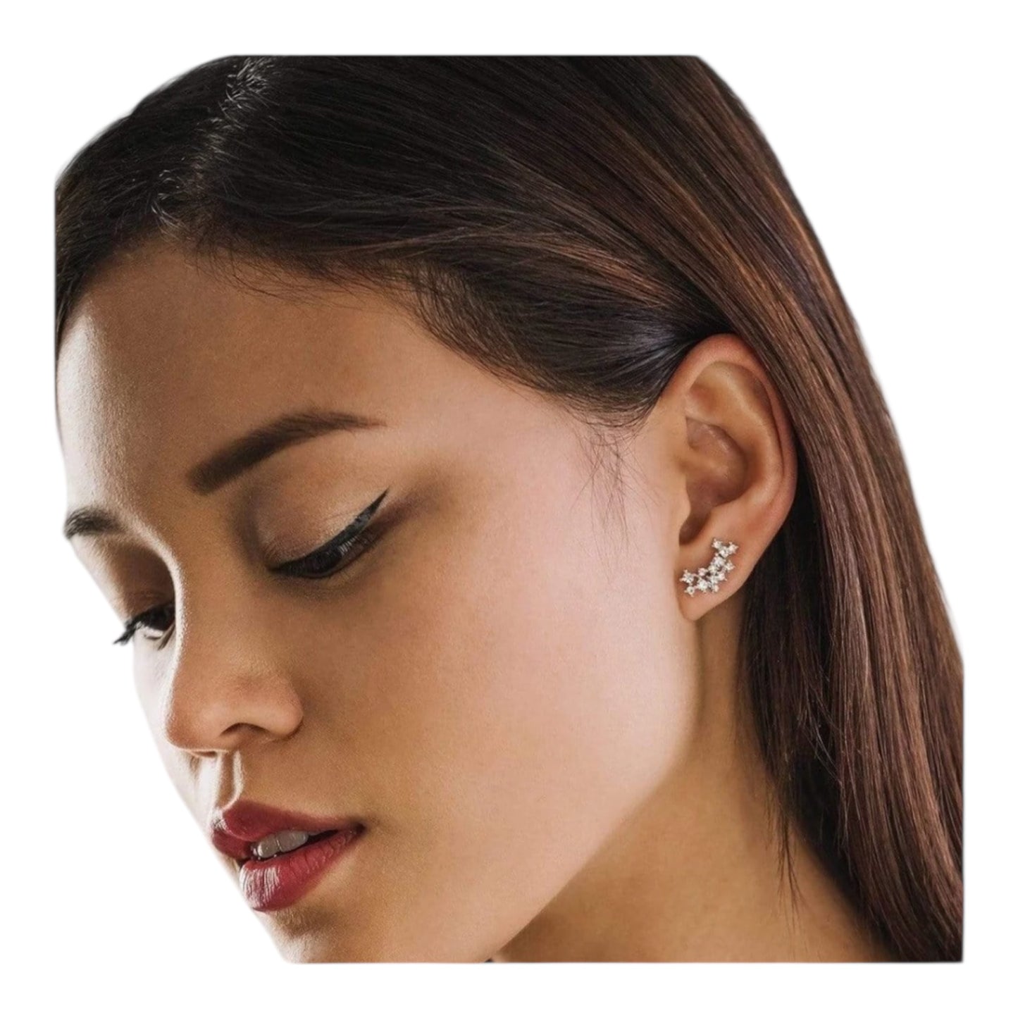 Stardust Climber Earrings