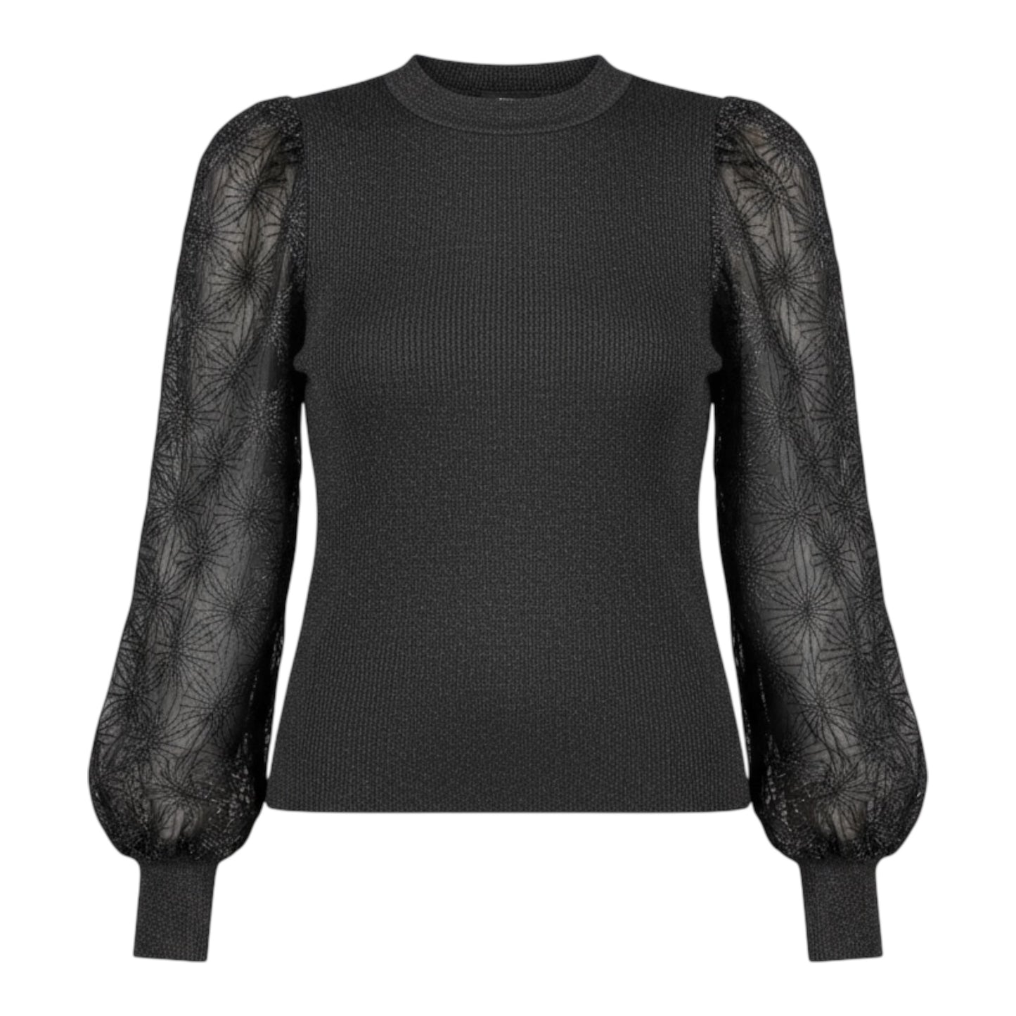 Shimmer Knit Top with Sheer Sleeves size Small