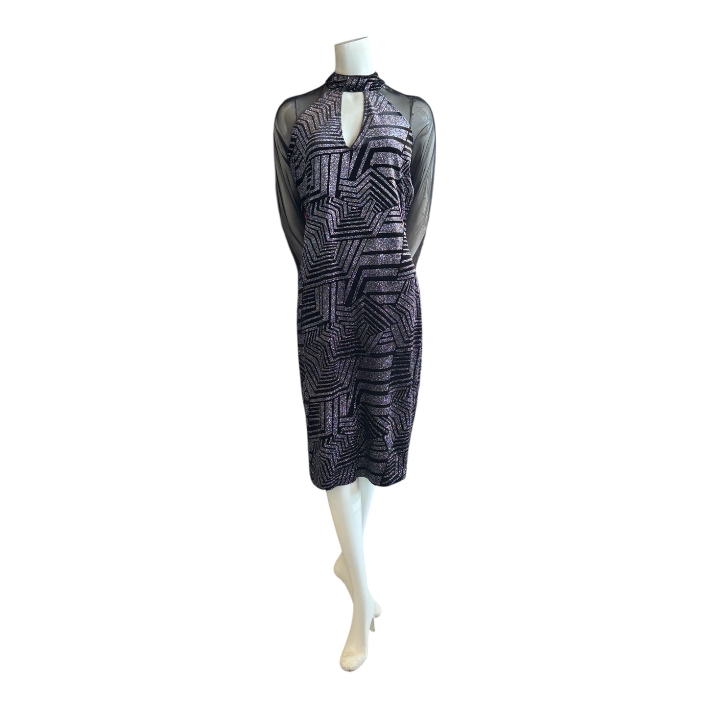 Long Sleeve Sheer Shimmer Dress size 16