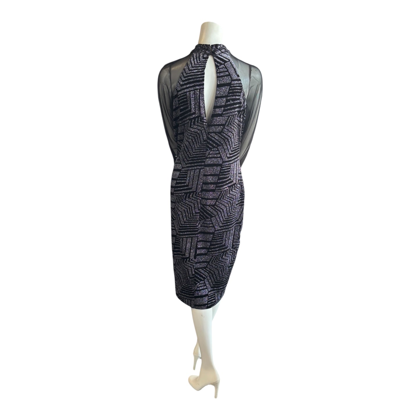 Long Sleeve Sheer Shimmer Dress size 16