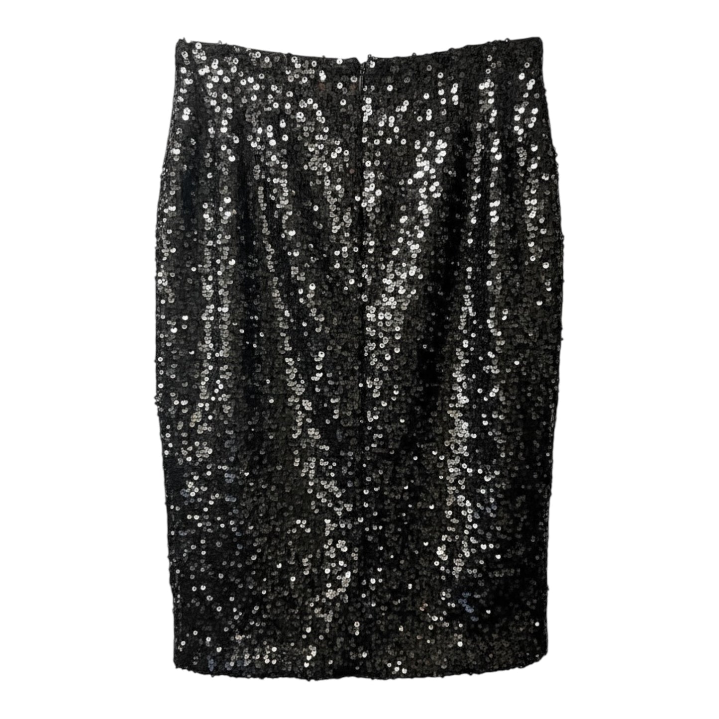 Sequin Skirt size 26