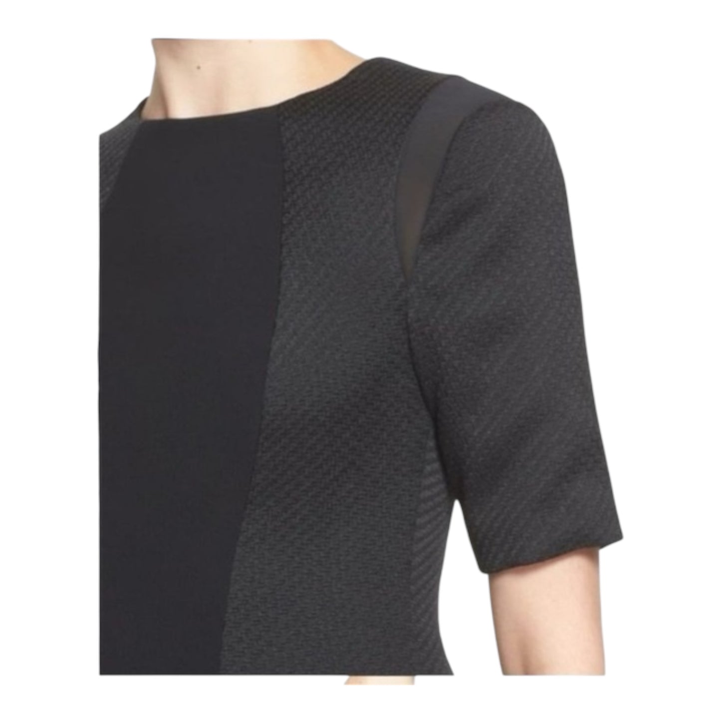 Abrial Mesh Panel Black Sheath Dress size 2 (6)