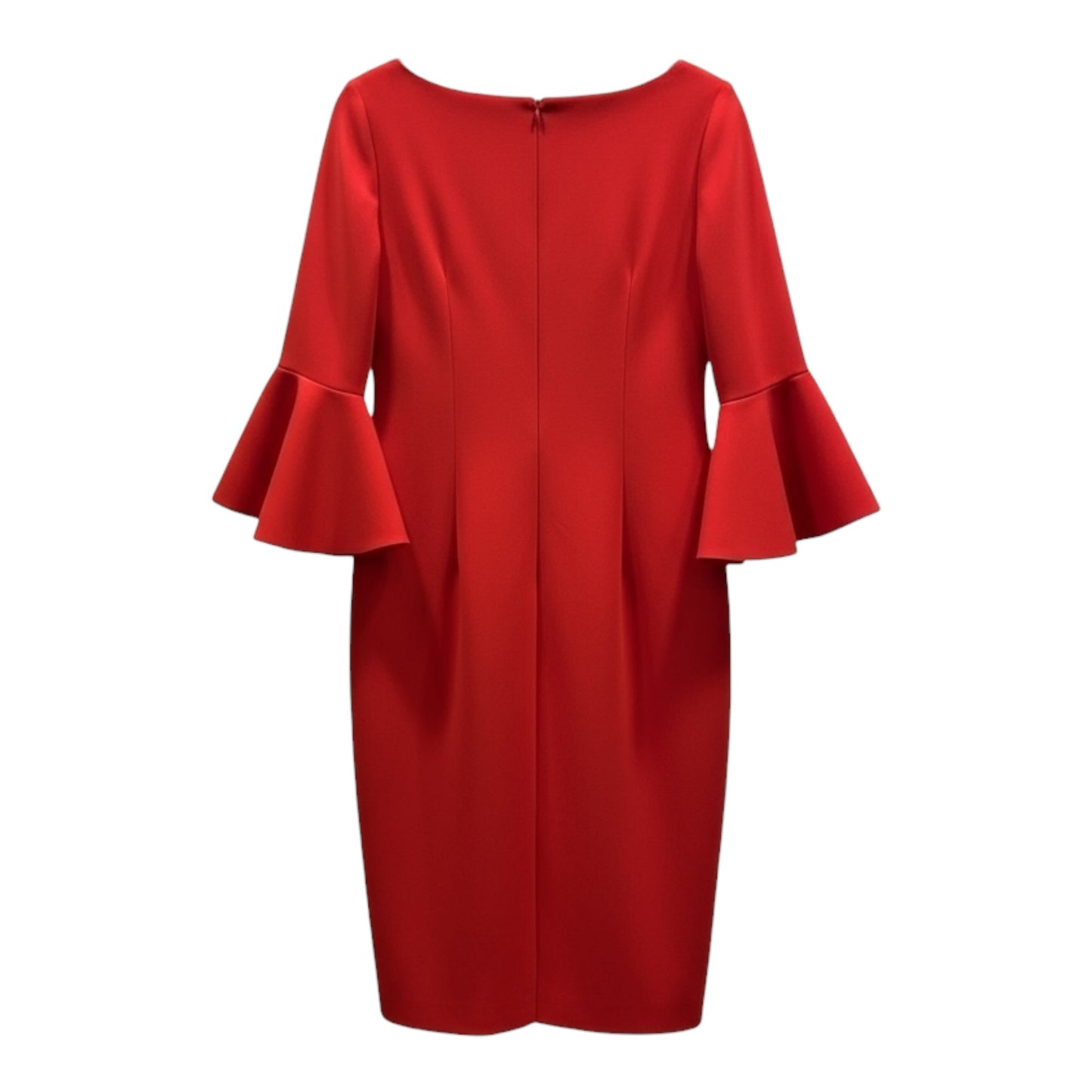 Ruffle Sleeve Dress size 10