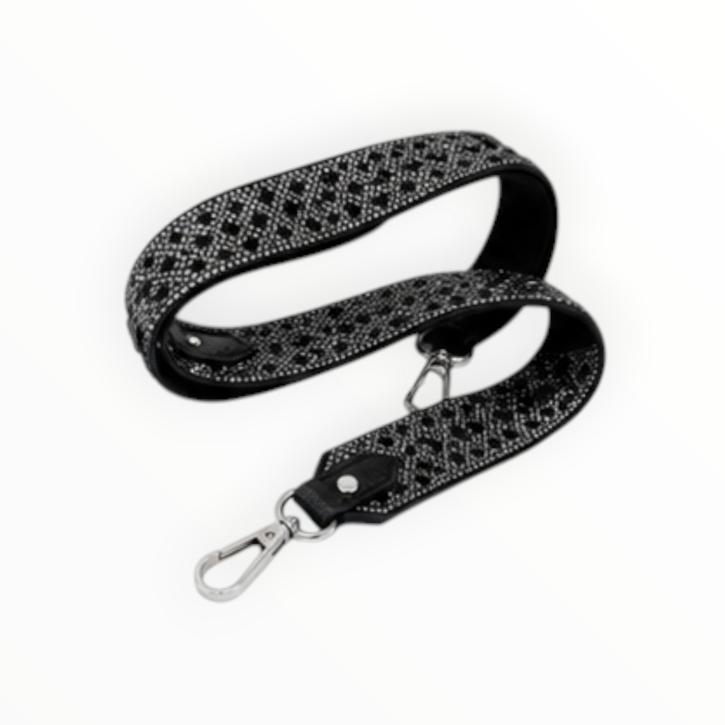 Bandouliere Purse Strap NEW
