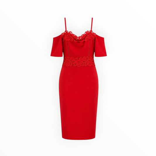 Lace Off-Shoulder Dress size 14 NEW WITH TAGS