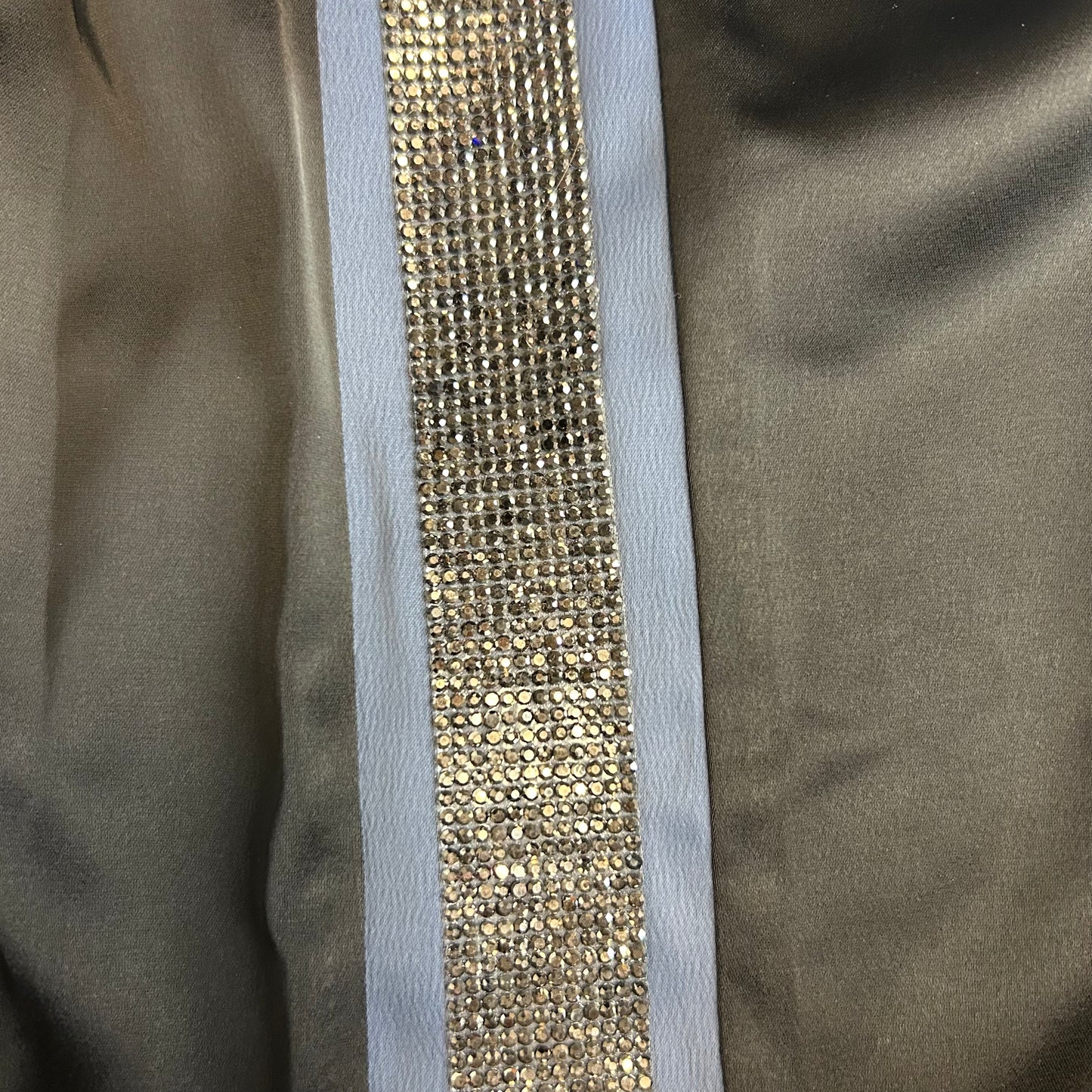 Satin Crystal Strip Pants size Large