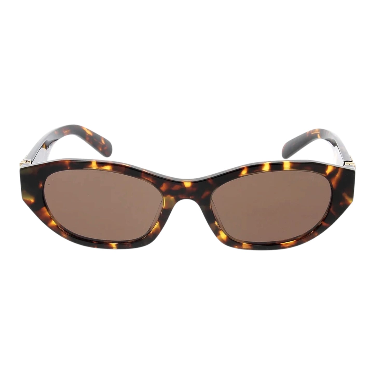 Oval Tortoise Frame Sunglasses