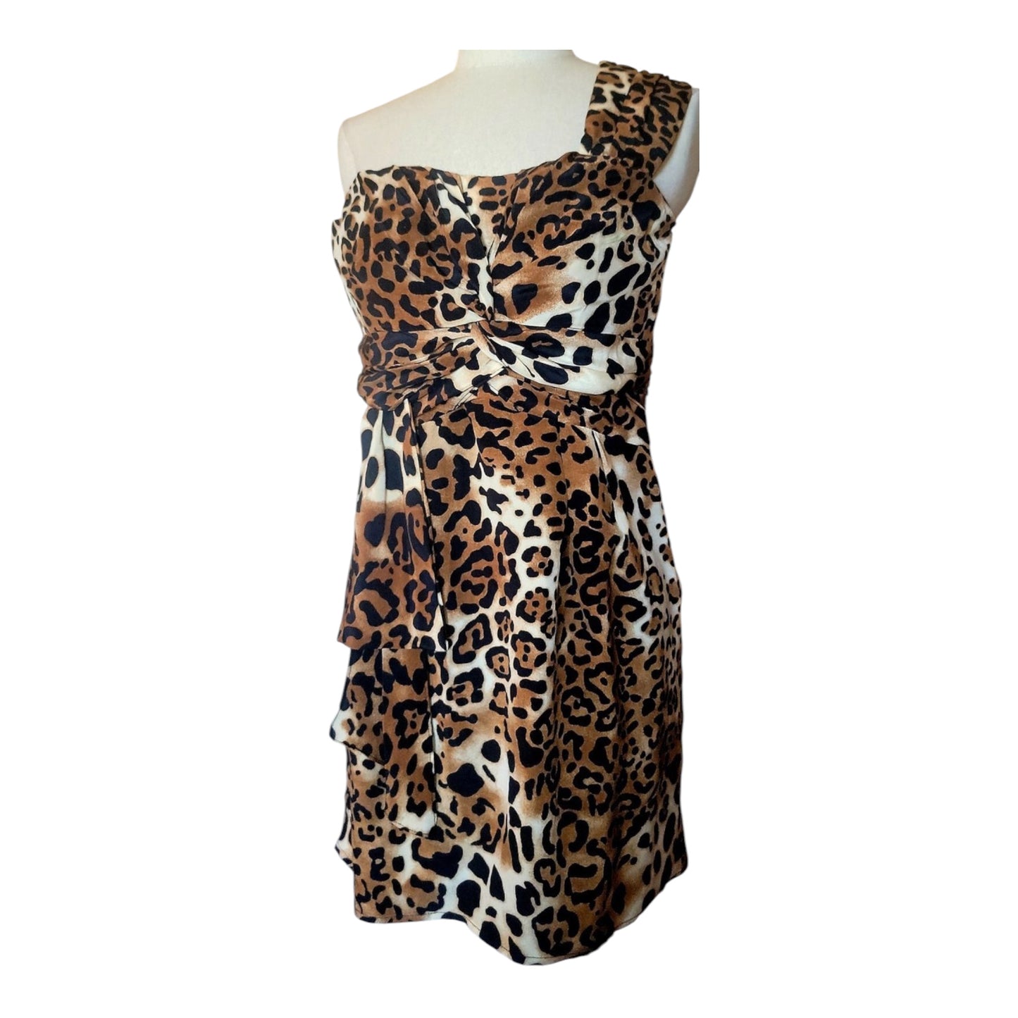 Cheetah Print Mini Dress size 2