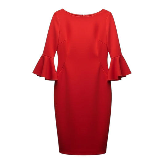 Ruffle Sleeve Dress size 10