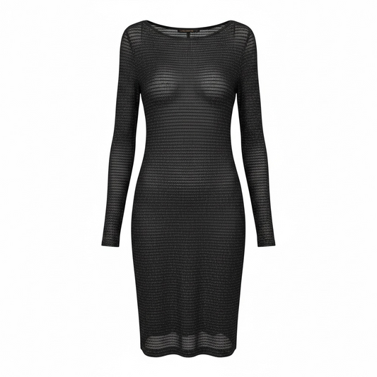 Shimmer Transparent Dress size 2 (Small) NEW WITH TAGS