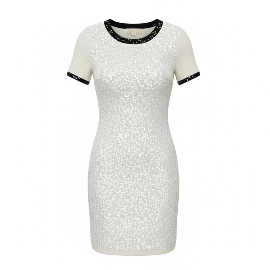 Sequin Dress size Small